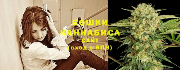 молекула духа Гусь-Хрустальный