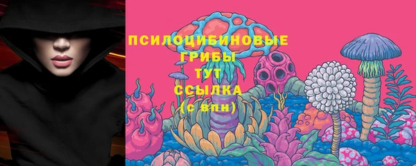 трава Гусев