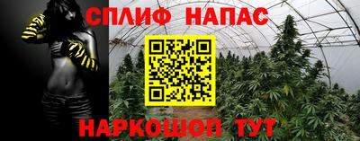 ALPHA-PVP Гатчина