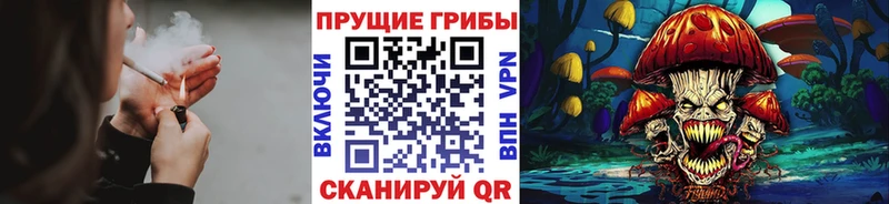 Галлюциногенные грибы Cubensis  MEGA ссылки  Острогожск 