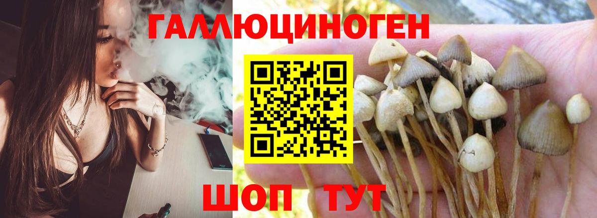 Псилоцибиновые грибы Magic Shrooms Острогожск