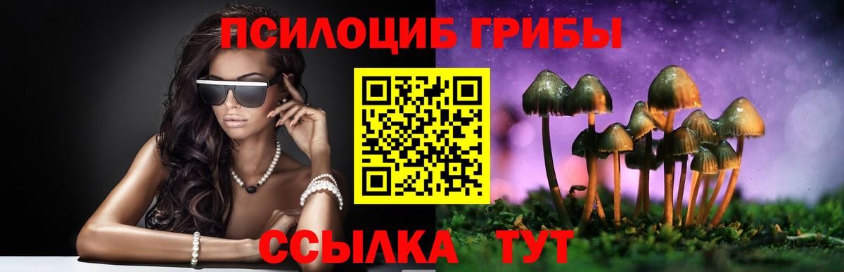 Острогожск  Галлюциногенные грибы Psilocybe  Вход с VPN 