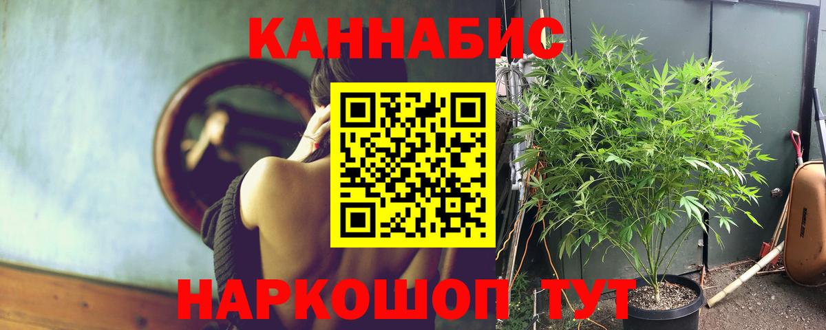 Канабис ГИДРОПОН Острогожск